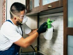 Pest Control – Basic Information for Homeowners Pest Control