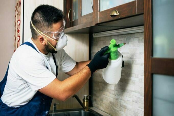 Pest Control – Basic Information for Homeowners Pest Control